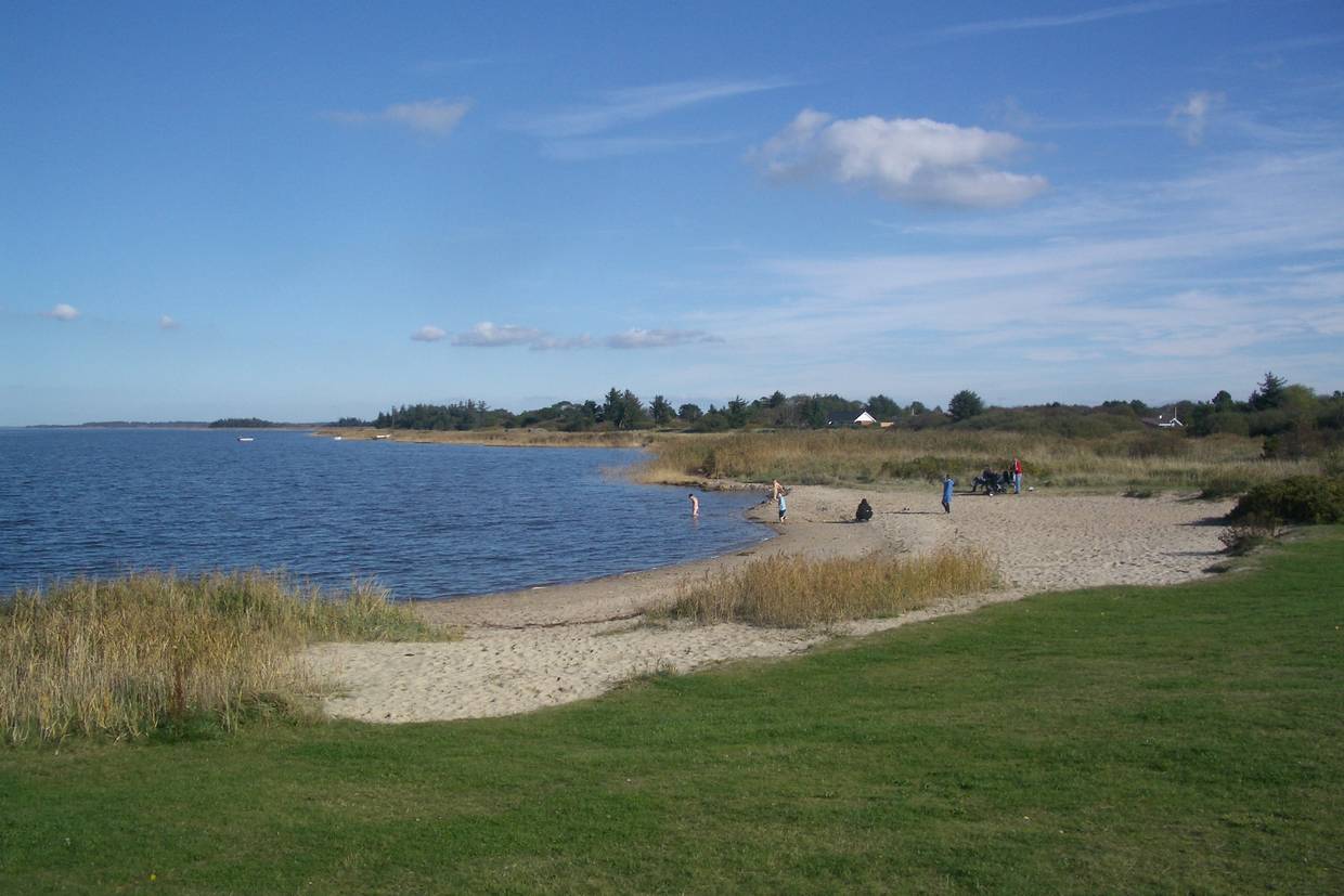 Foto von Bork Havn Strand
