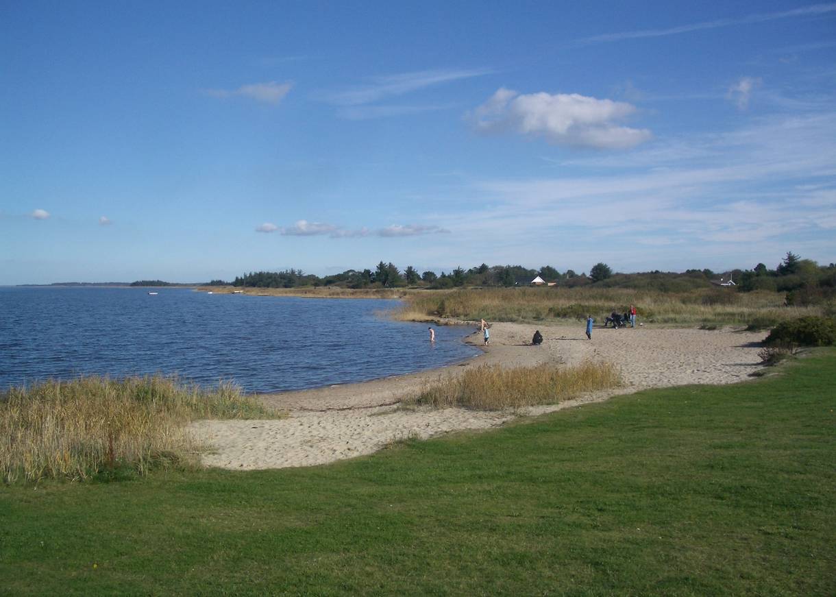 Kleine Sandbucht am Fjord, umgeben von einer grünen Wiese