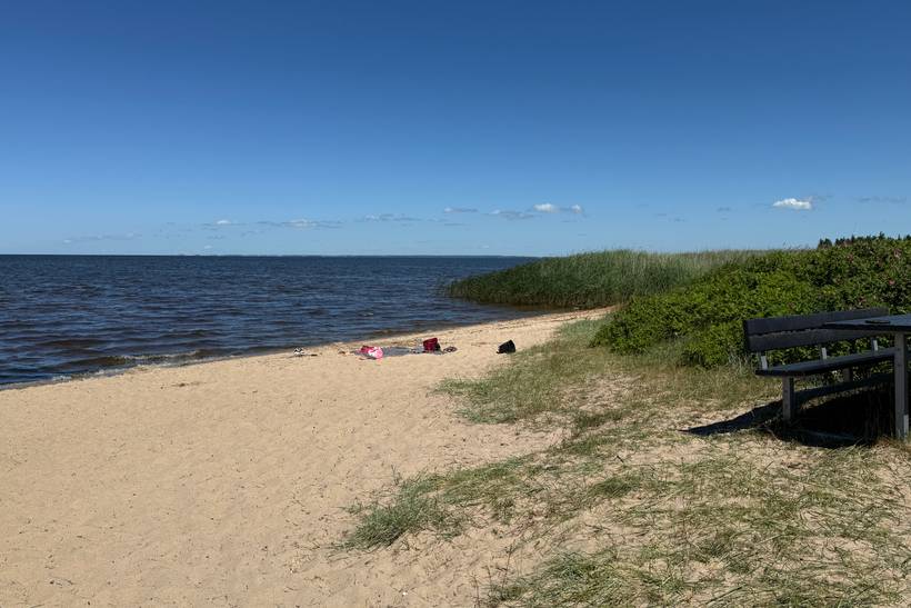 Foto von Bork Havn Strand