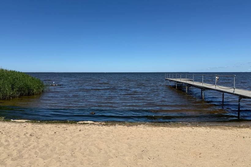 Foto von Bork Havn Strand