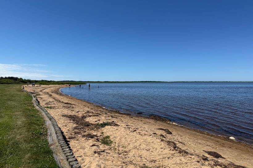 Foto von Bork Havn Strand