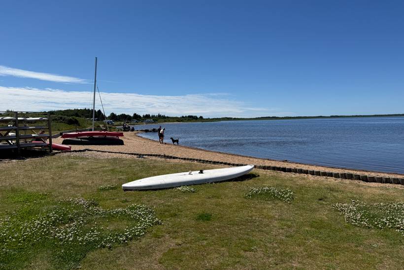Foto von Bork Havn Strand