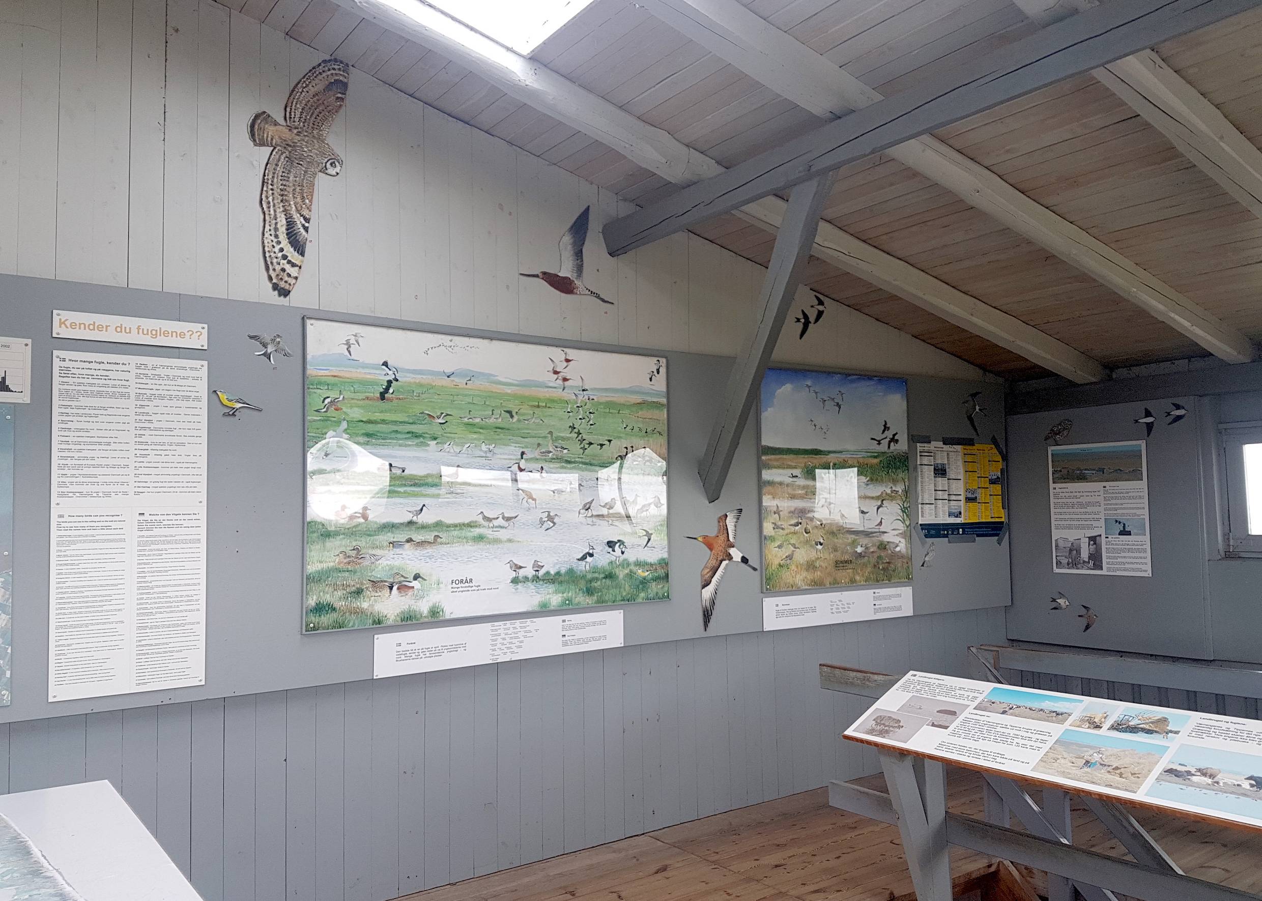 Info-Tafeln zur Vogelwelt in einer Scheune im Naturschutzgebiet