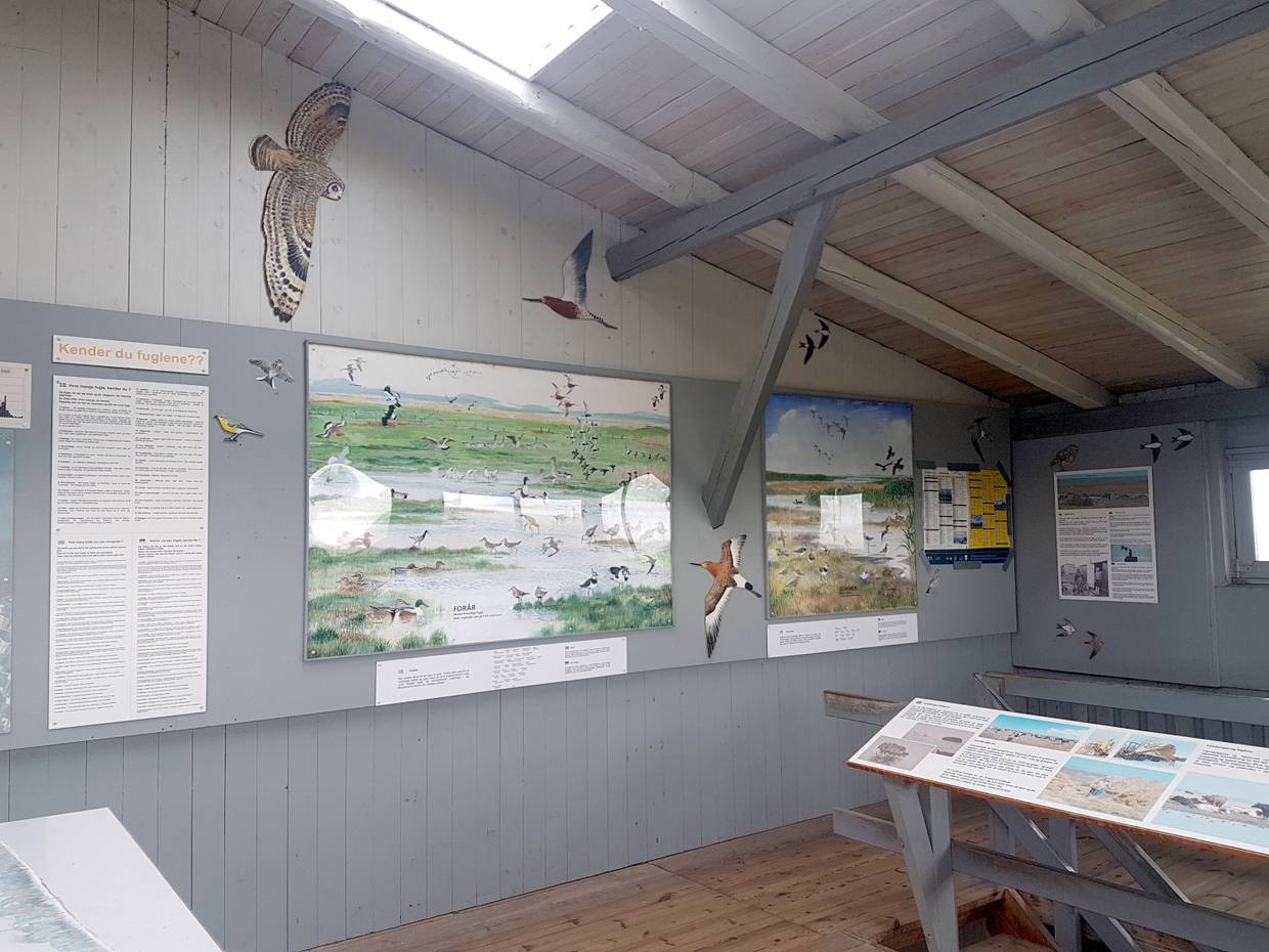 Info-Tafeln zur Vogelwelt in einer Scheune im Naturschutzgebiet