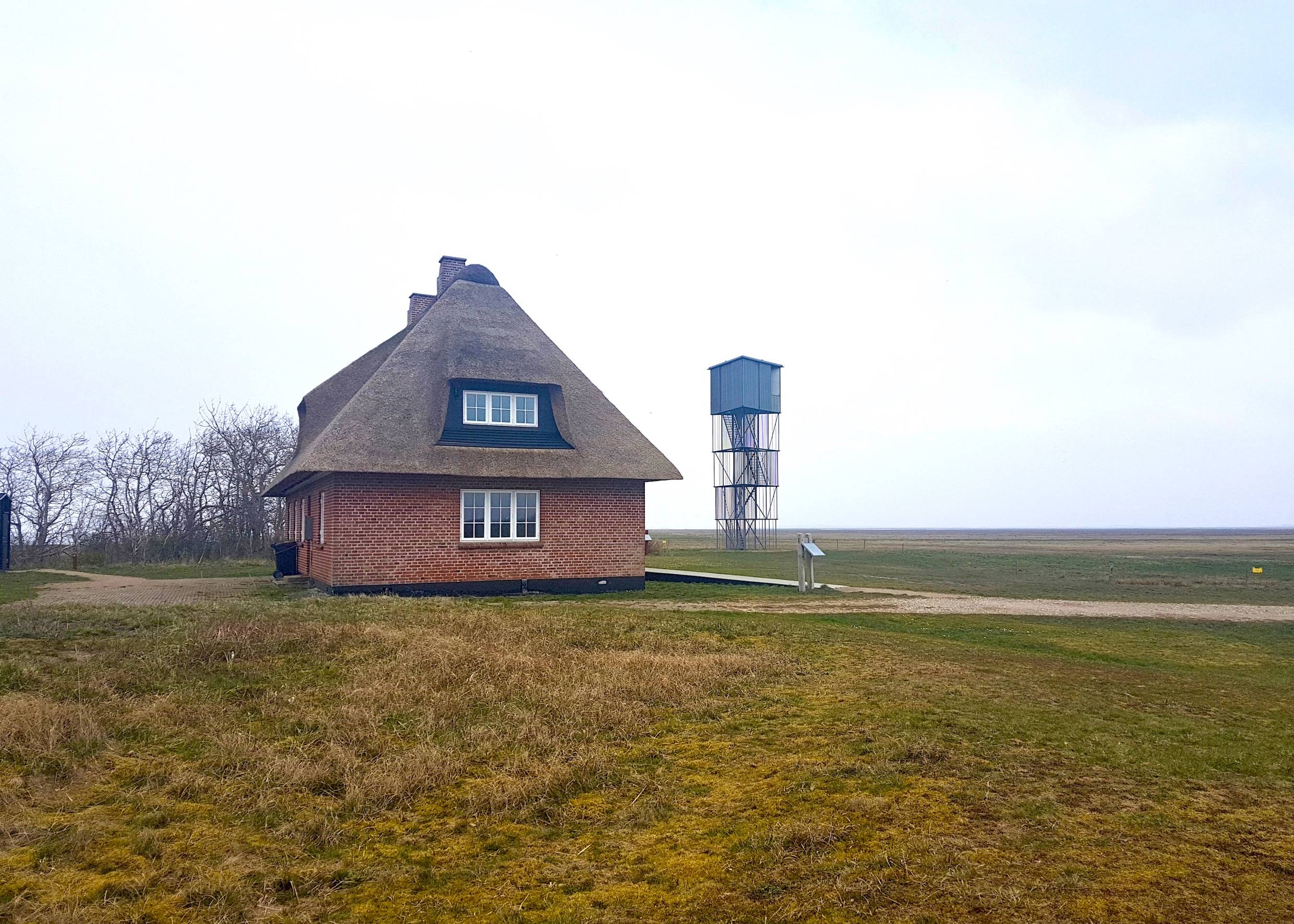 Reetdachhaus und ein Aussichtsturm auf eienr Wiese bei leichtem Nebel