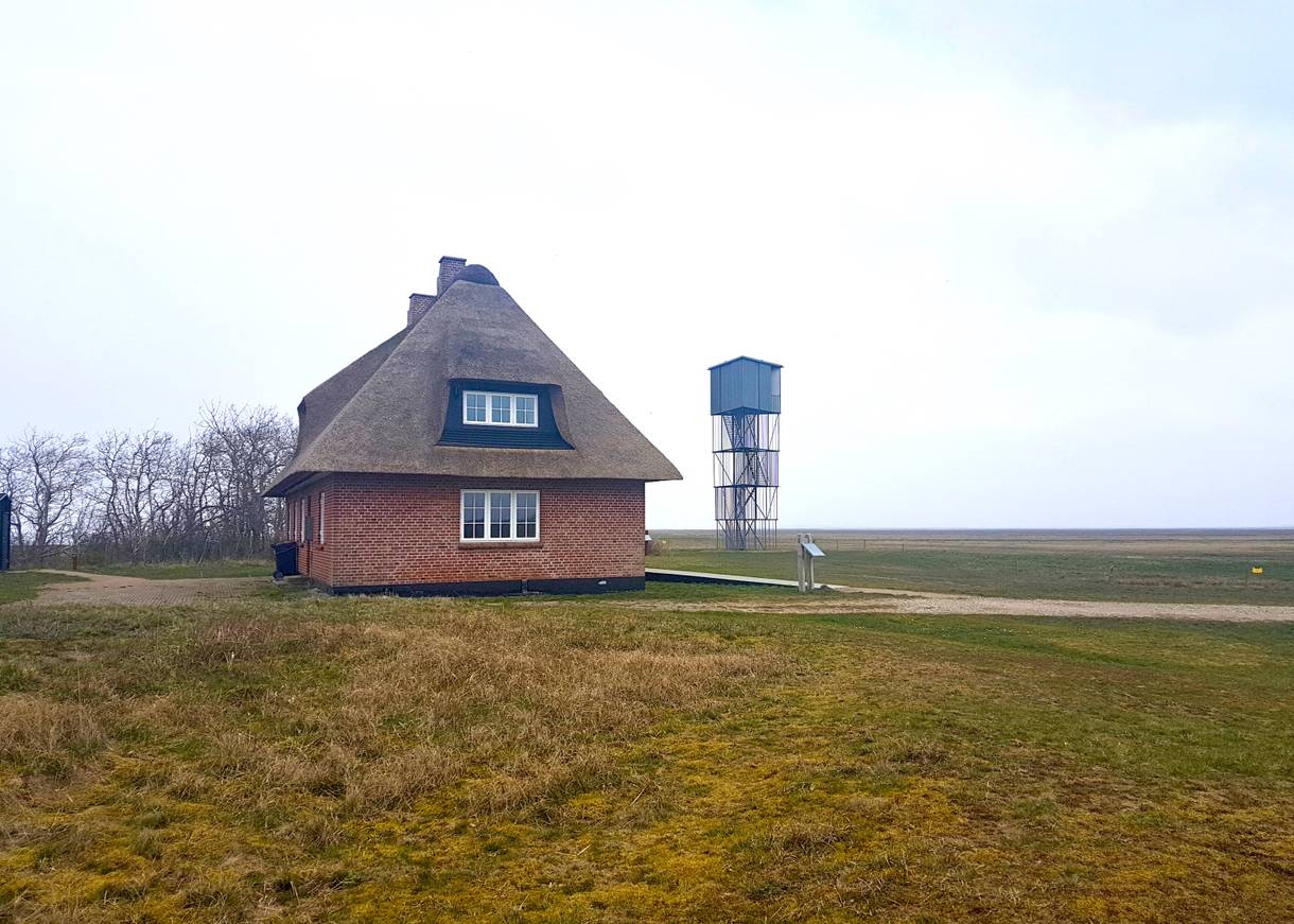 Reetdachhaus und ein Aussichtsturm auf eienr Wiese bei leichtem Nebel