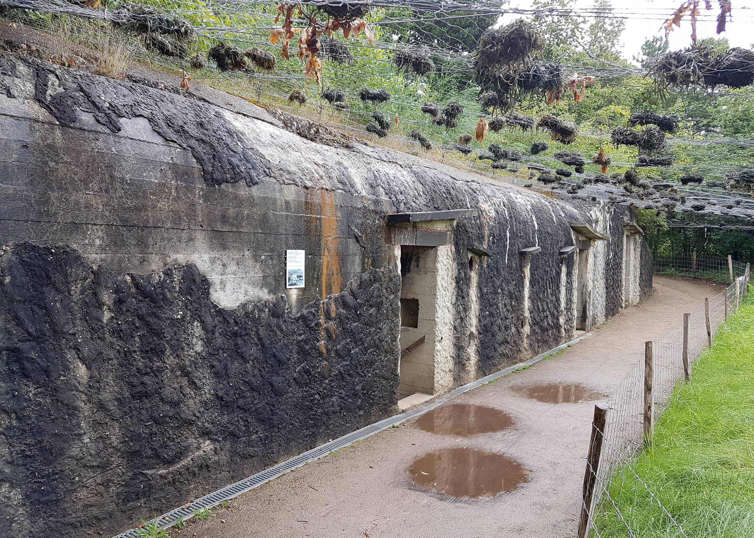 Eingang zu einem Bunker, darüber ein Tarnnetz