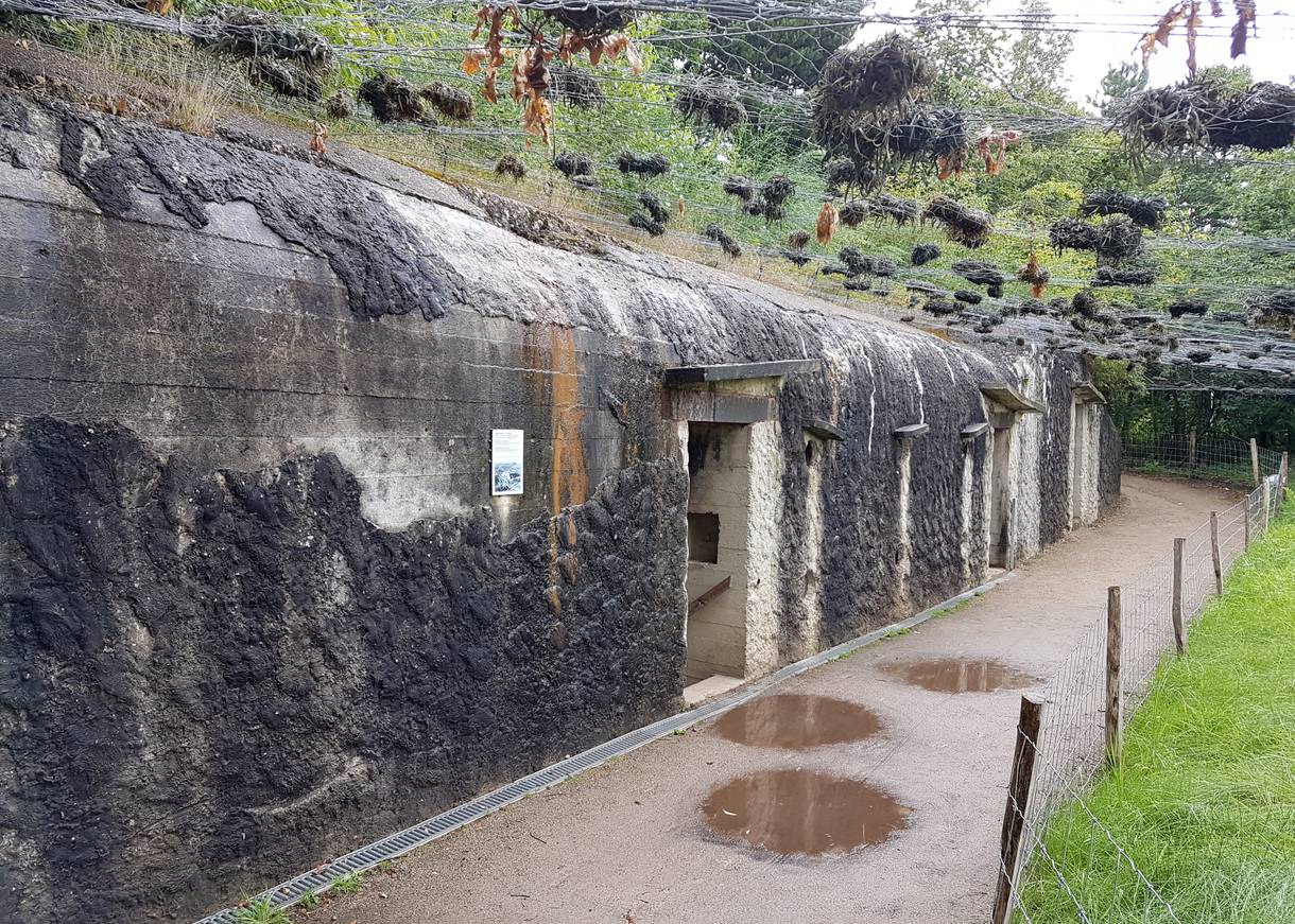 Eingang zu einem Bunker, darüber ein Tarnnetz