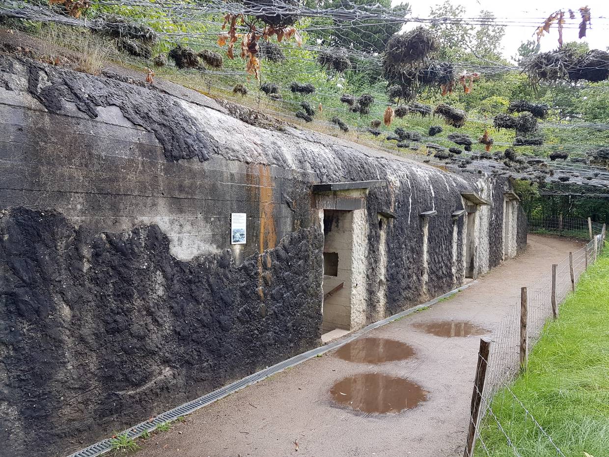 Eingang zu einem Bunker, darüber ein Tarnnetz