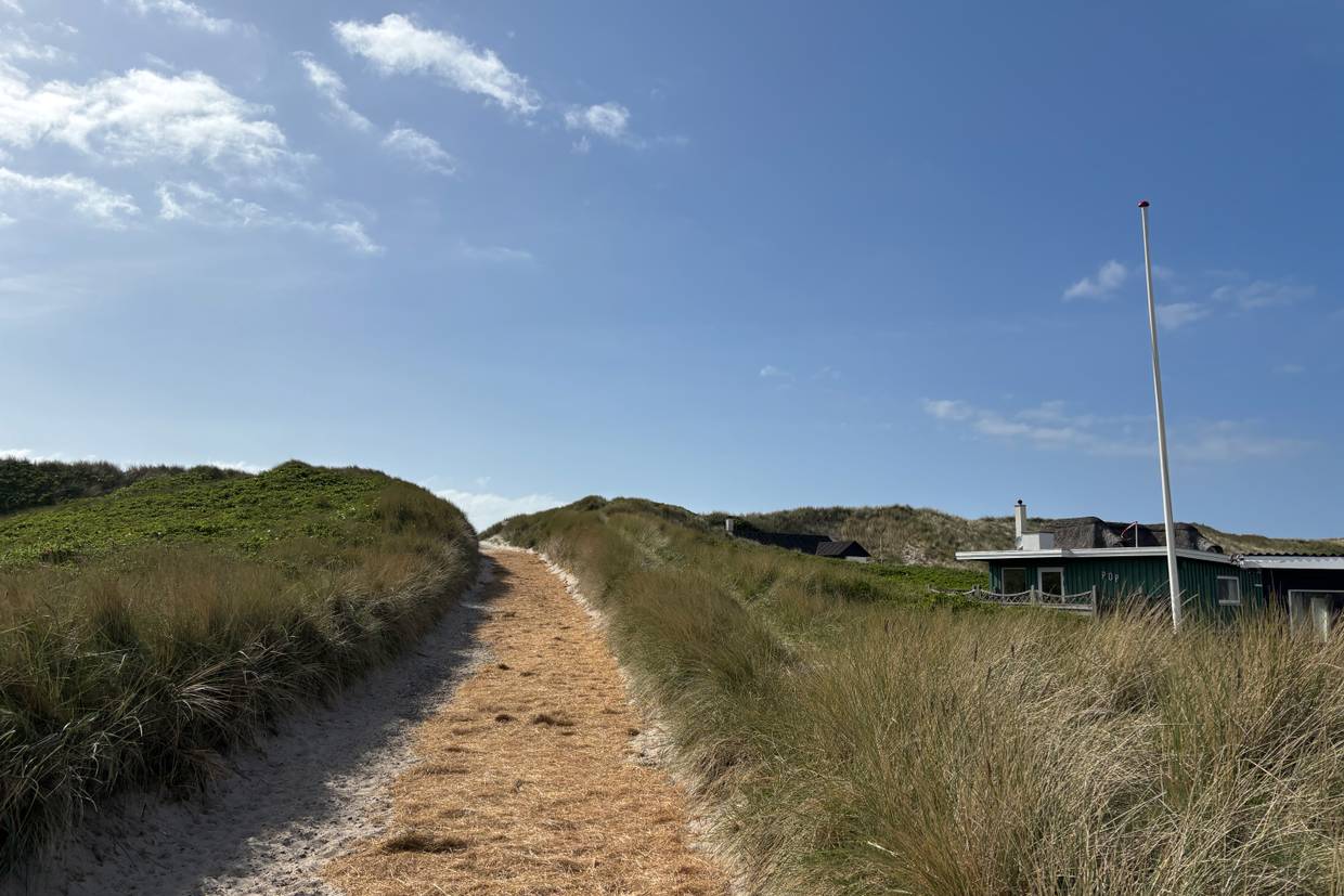 Foto von Bjerghuse Strand