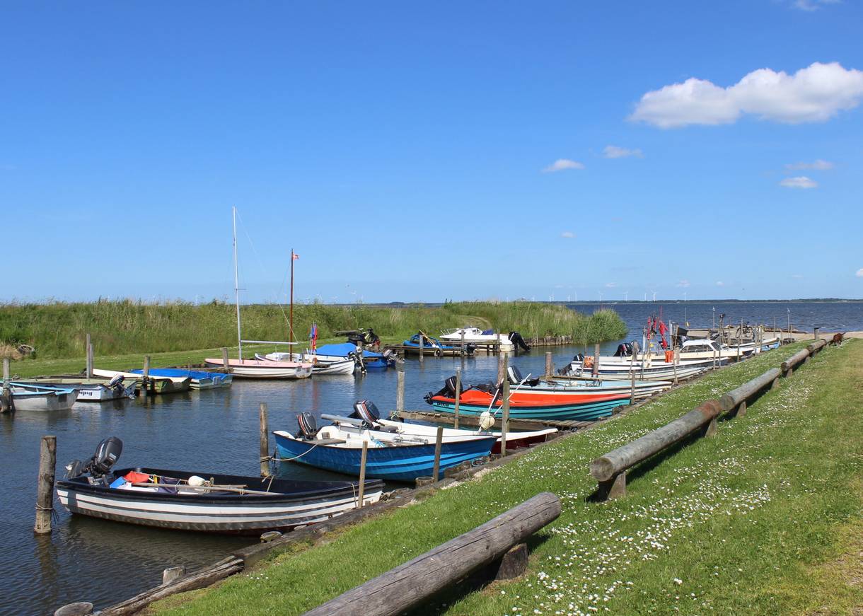 Kleine Fischerboote an einer grünen Kaimauer