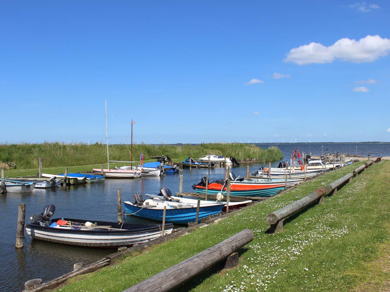 Kleine Fischerboote an einer grünen Kaimauer