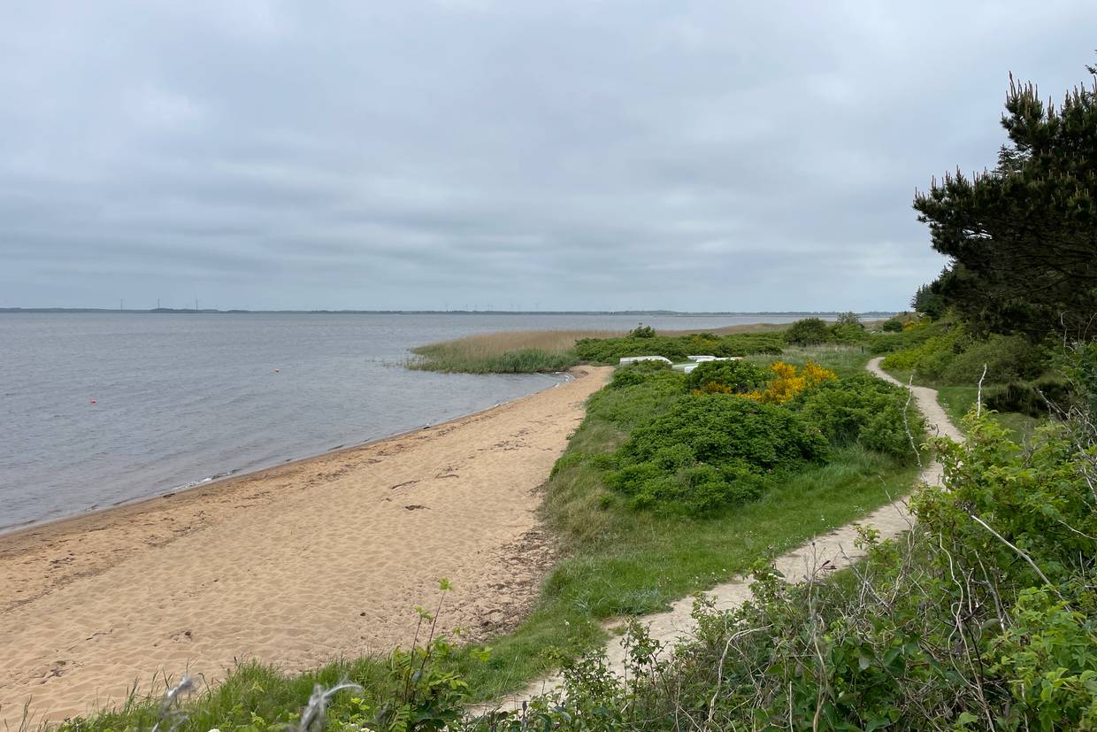 Foto von Nørhede Strand