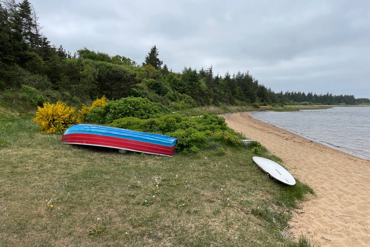 Foto von Nørhede Strand