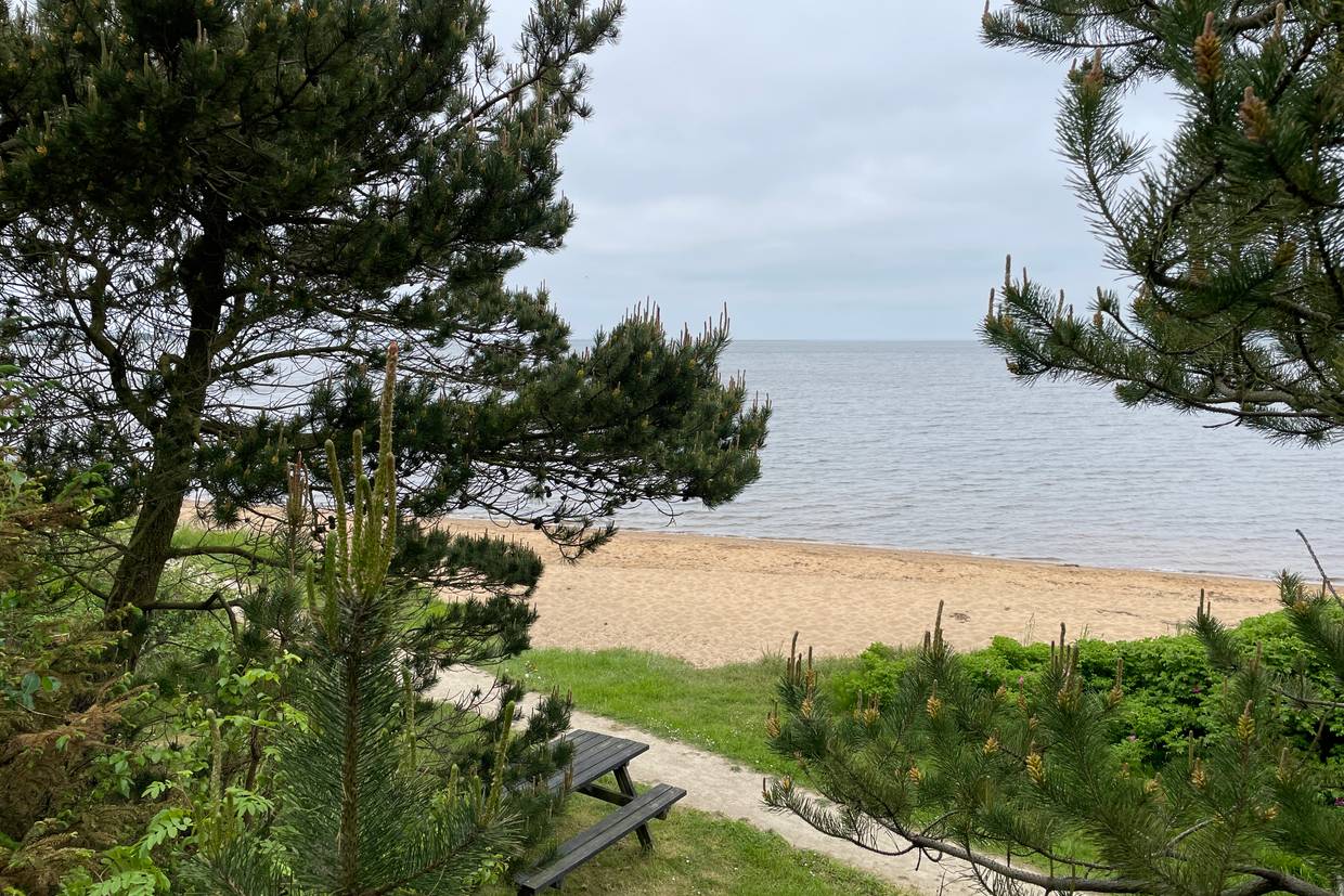 Foto von Nørhede Strand