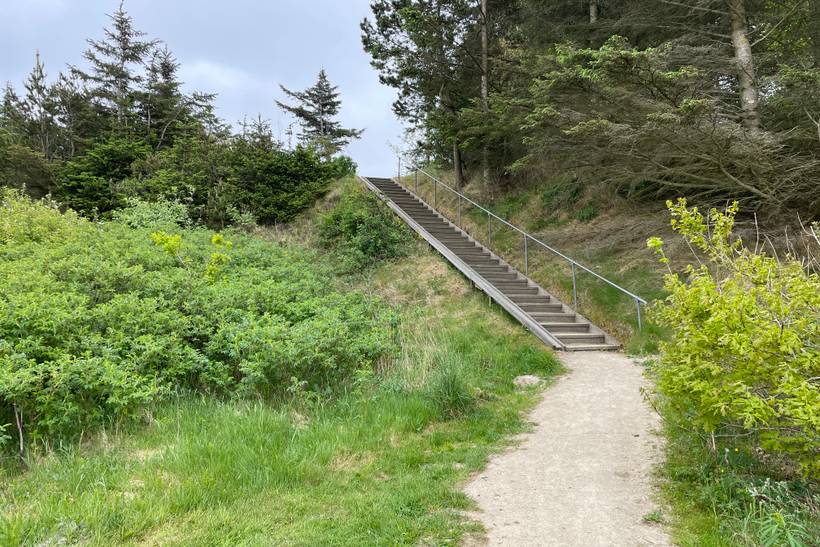 Foto von Nørhede Strand