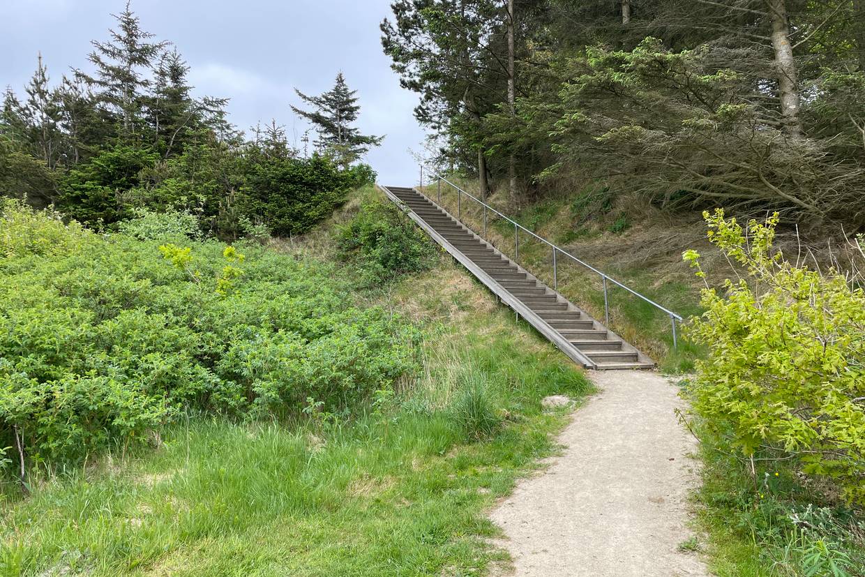 Foto von Nørhede Strand