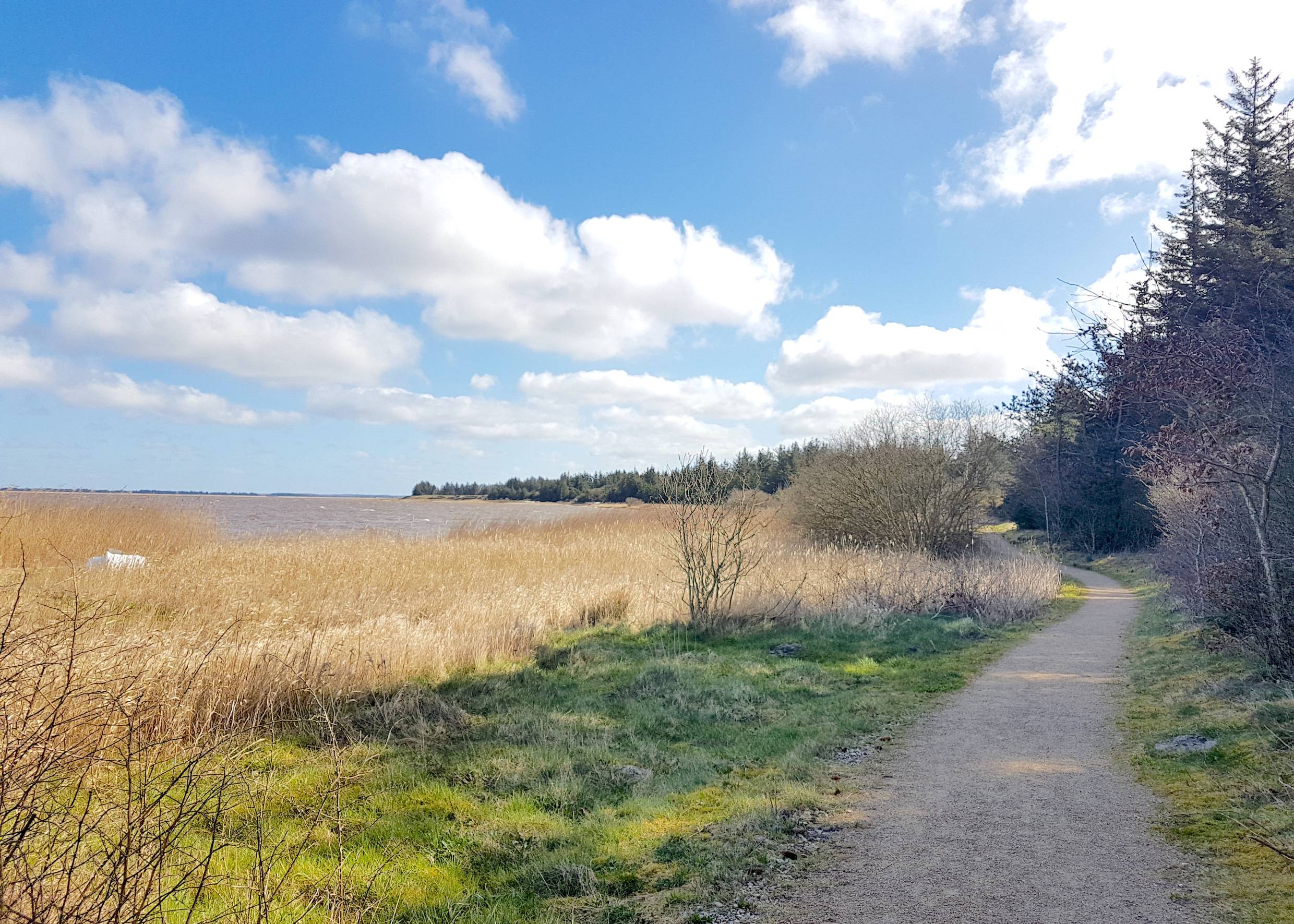 Wanderweg am Fjordufer