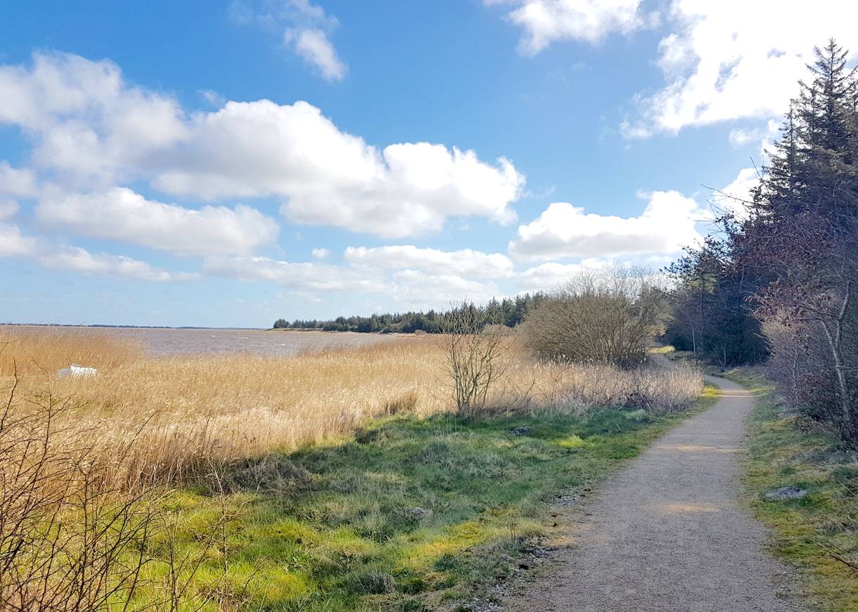 Wanderweg am Fjordufer