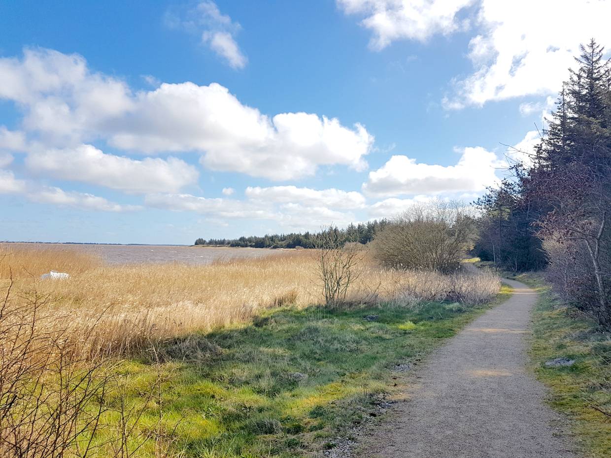 Wanderweg am Fjordufer