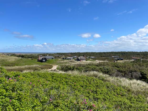 Aussicht von einer Düne über ein Ferienhausgebiet