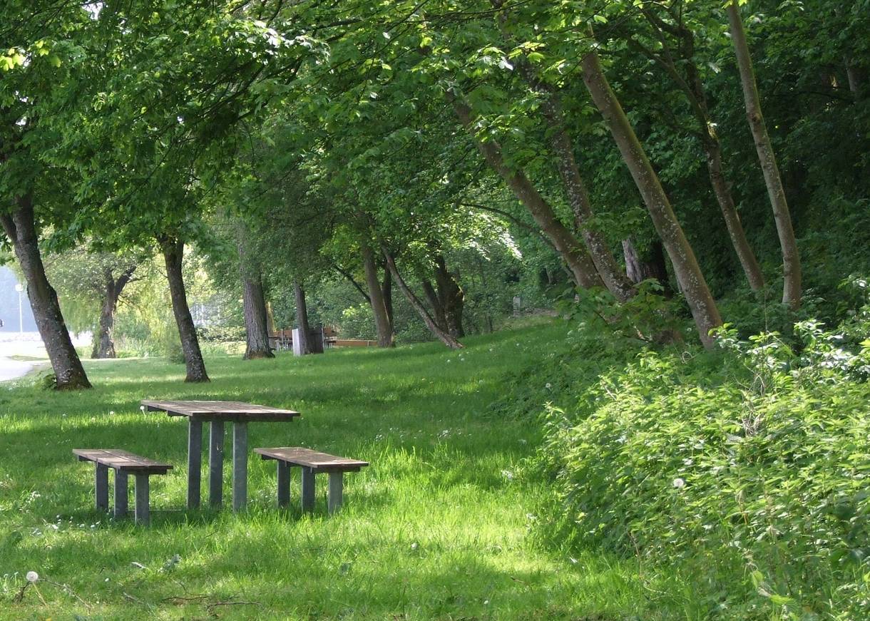 Picknickplatz unter Bäumen