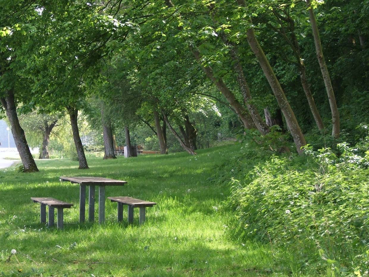 Picknickplatz unter Bäumen