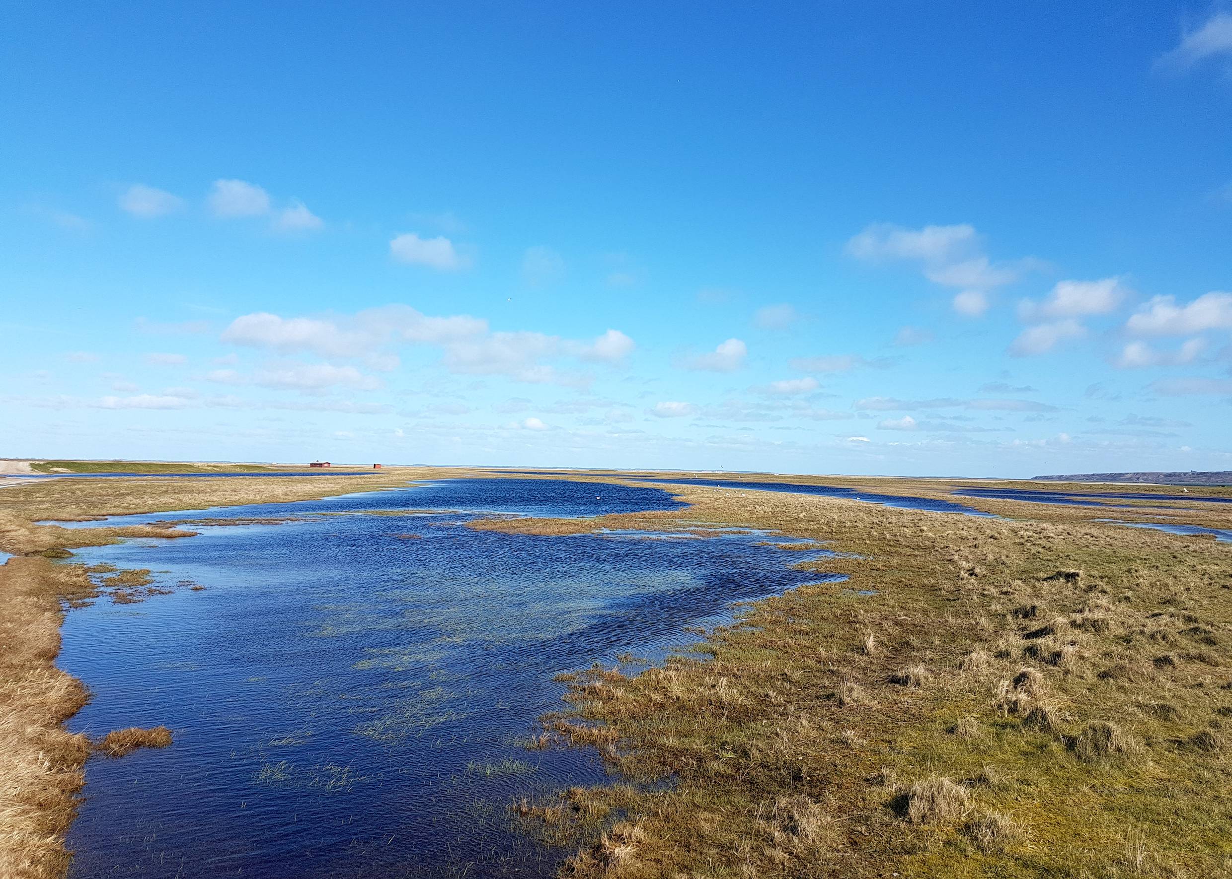 Flache, wasserreiche Landschaft im Frühjahr