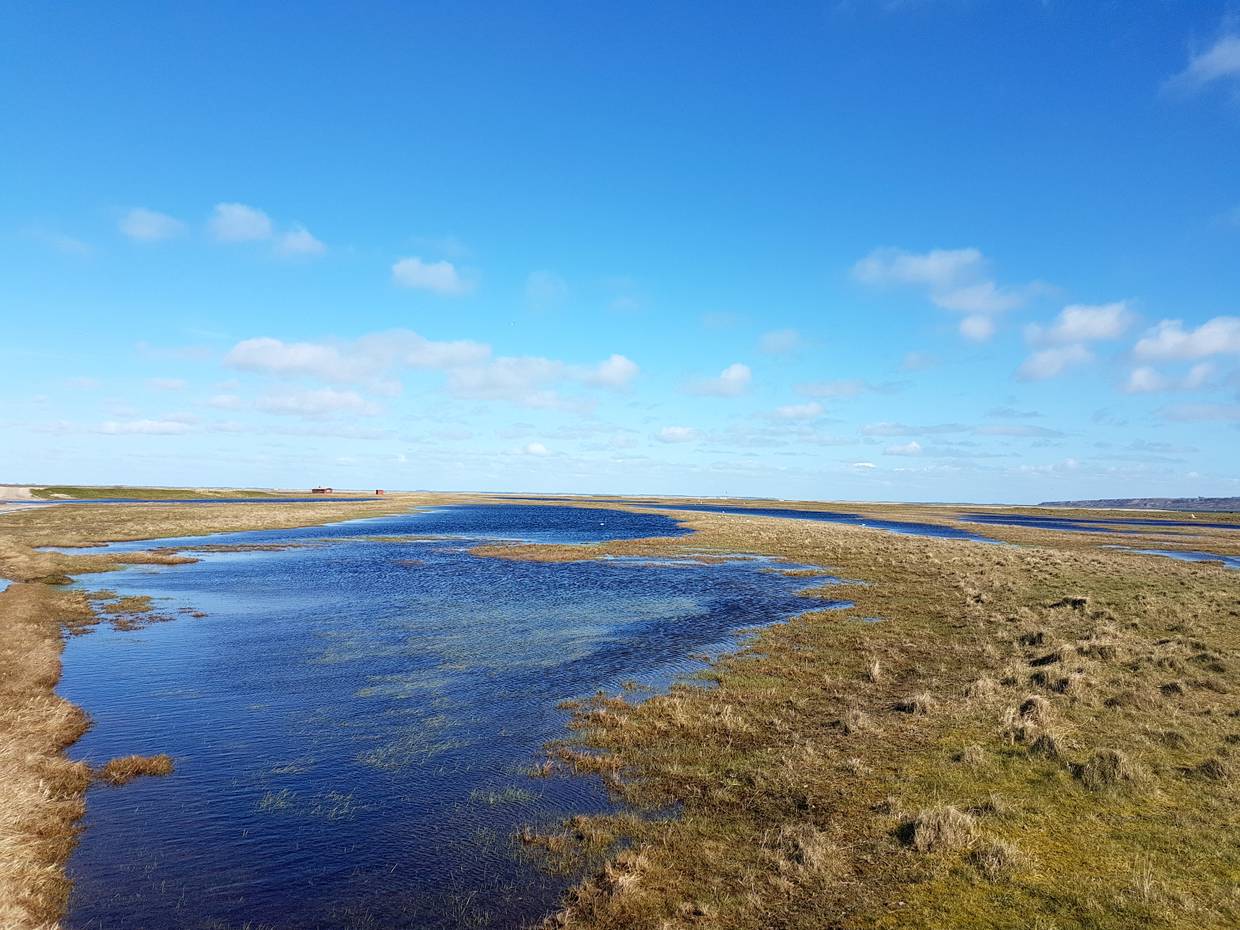 Flache, wasserreiche Landschaft im Frühjahr