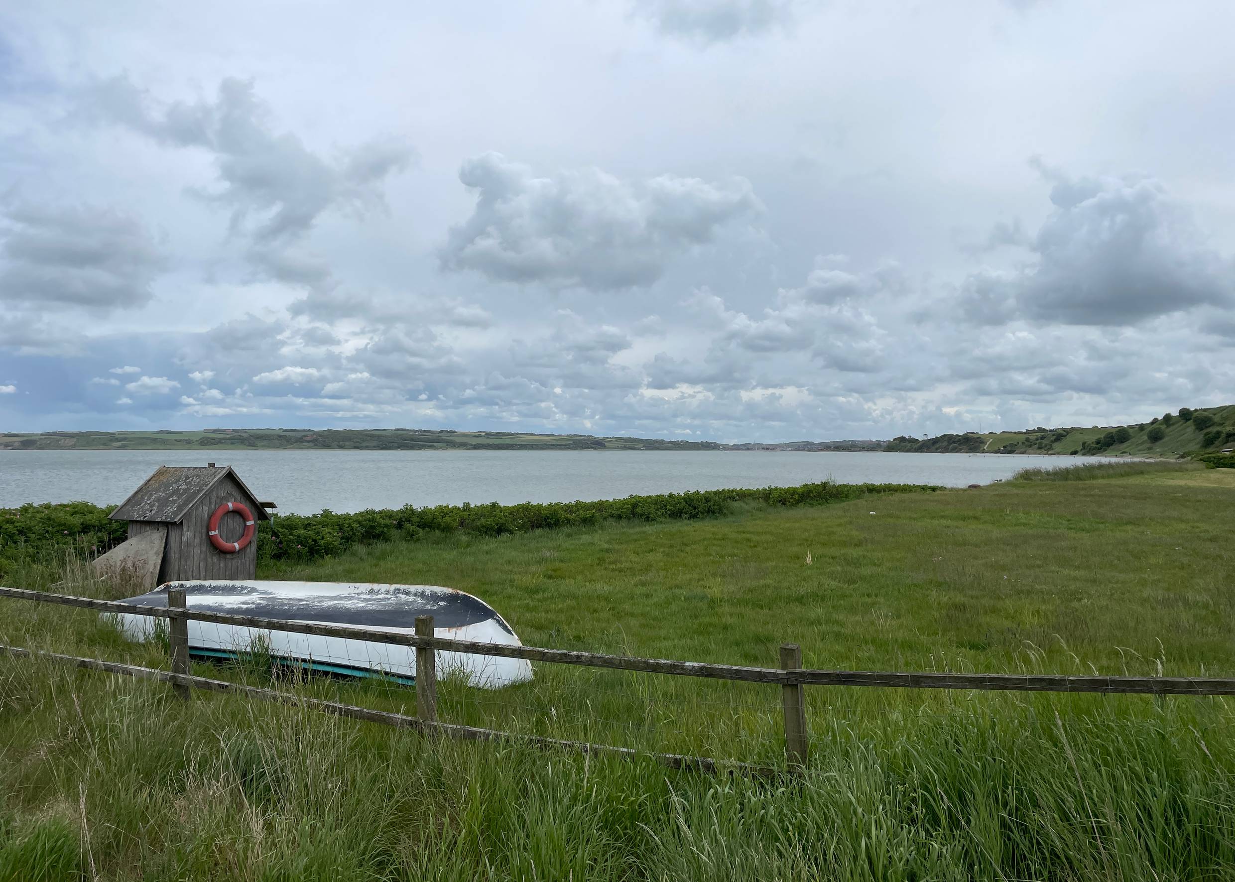 Eingezäunte Wiese am Fjordufer mit einem Boot