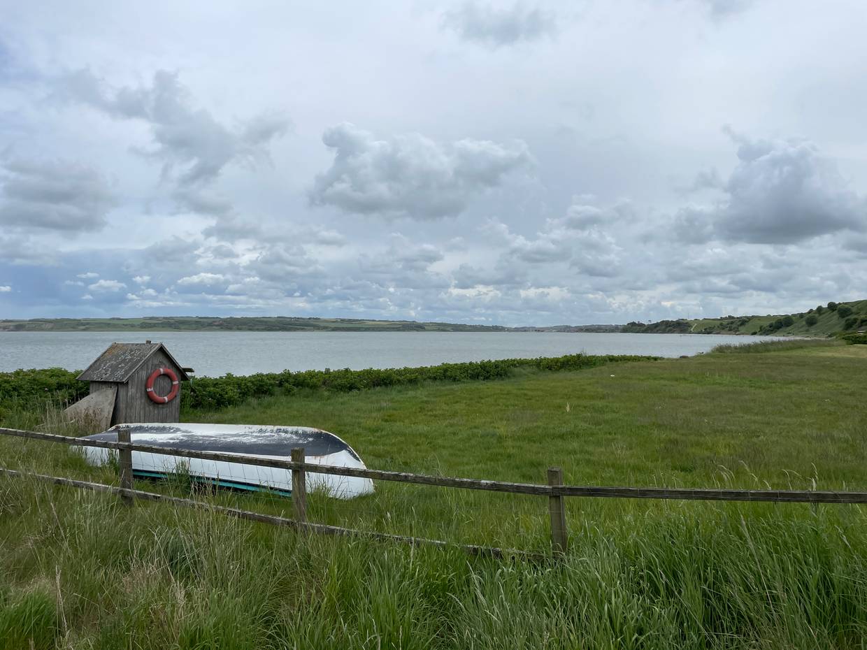 Eingezäunte Wiese am Fjordufer mit einem Boot