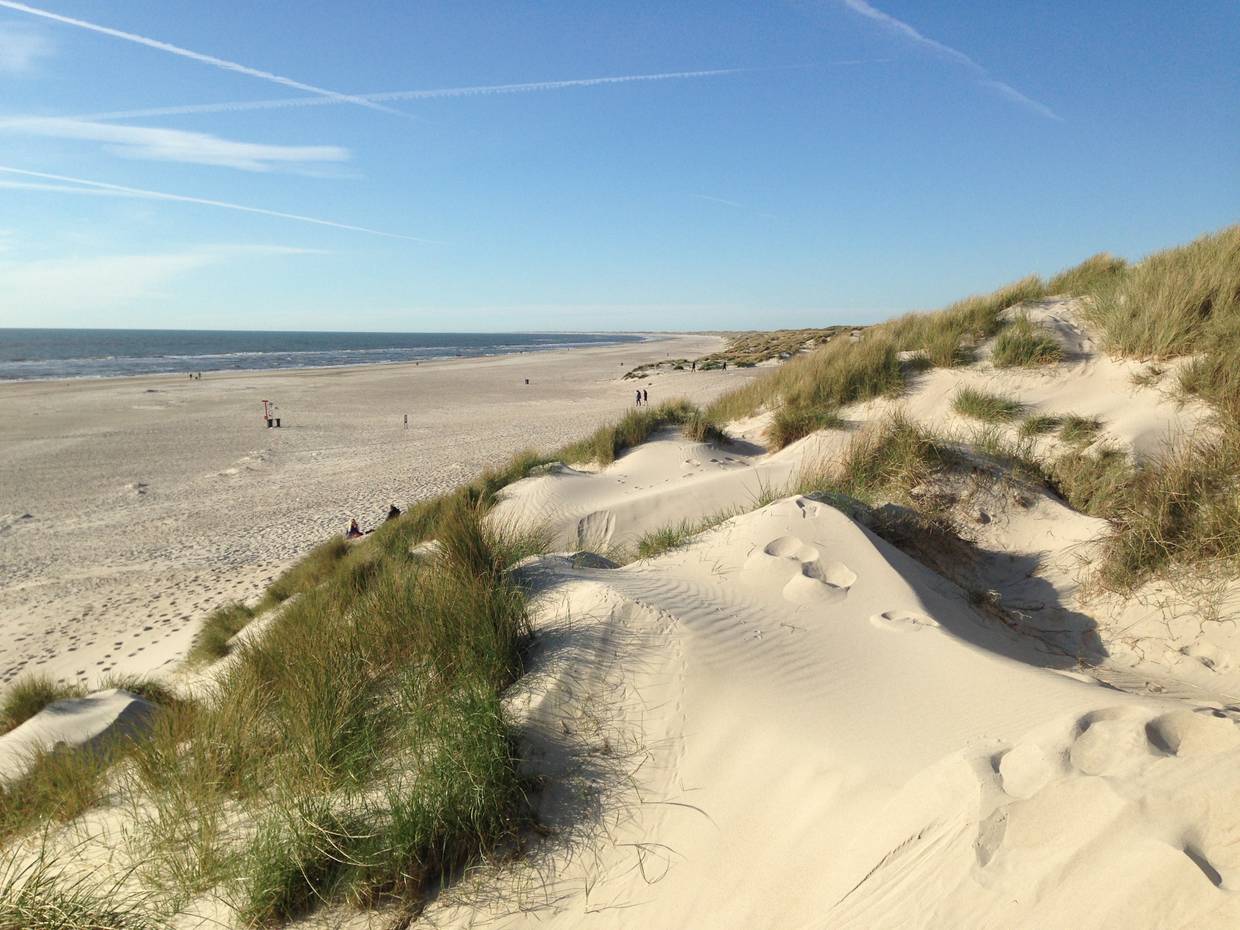 Blick über Dünen und Strand an der Nordsee in Dänemark