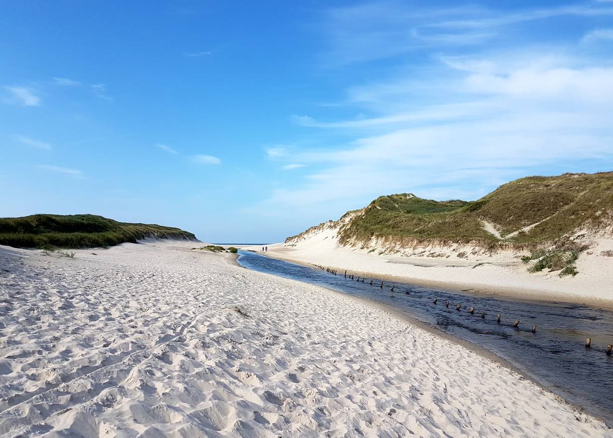 Bach zwischen den Dünen mit Meer im Hintergrund