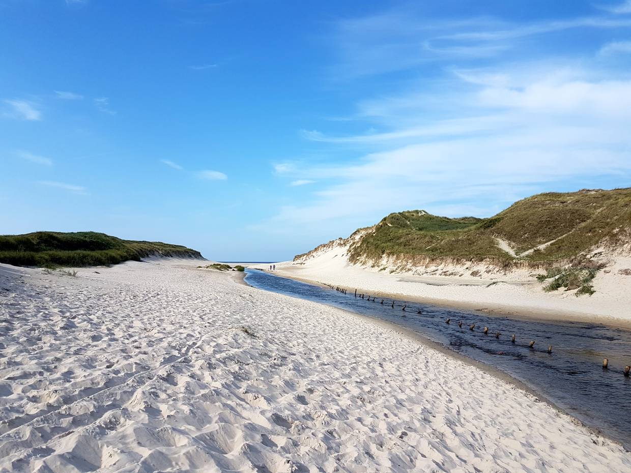 Bach zwischen den Dünen mit Meer im Hintergrund
