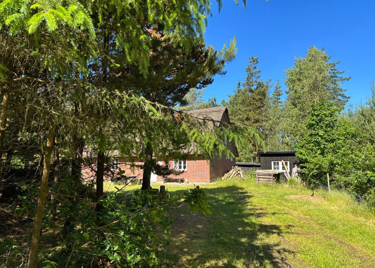 Ferienhaus in Houstrup mit Reetdach