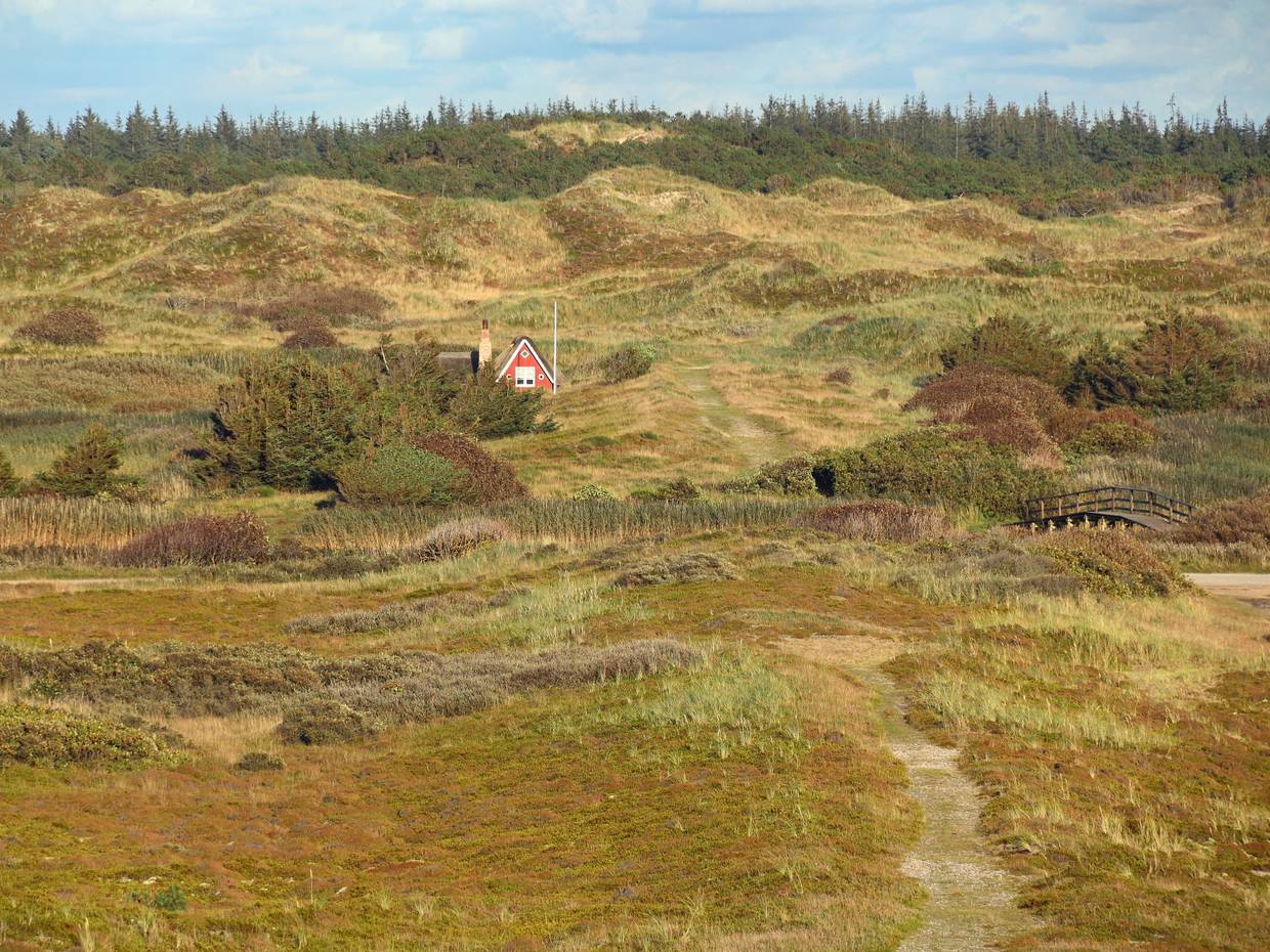 Grüne hügelige Dünenlandschaft mit einer roten Reetdachhütte