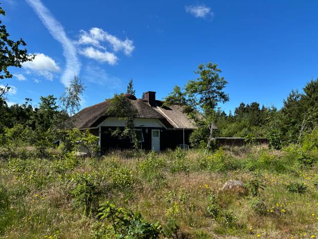 Reetgedecktes Holzhaus im Grünen