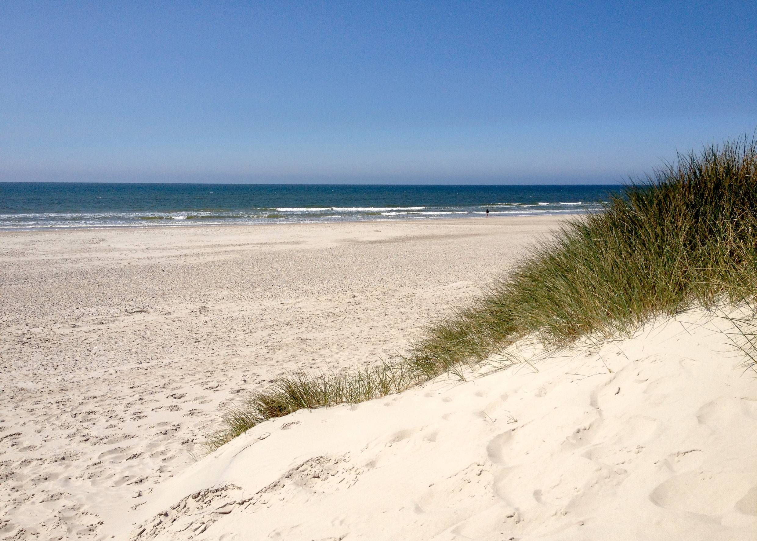 Blick auf einen Nordseestrand mit Sanddünen und Strandhafer