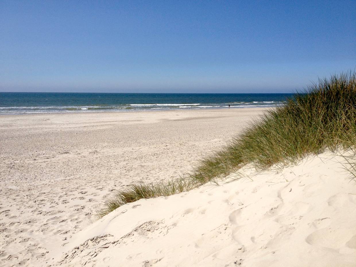 Blick auf einen Nordseestrand mit Sanddünen und Strandhafer