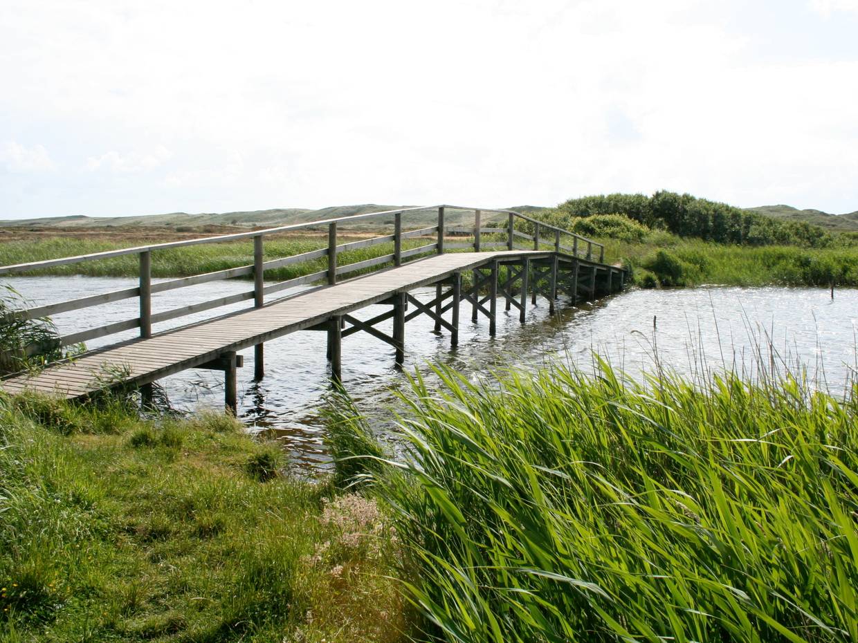 Holzbrücke über einen Wassergraben in den Dünen