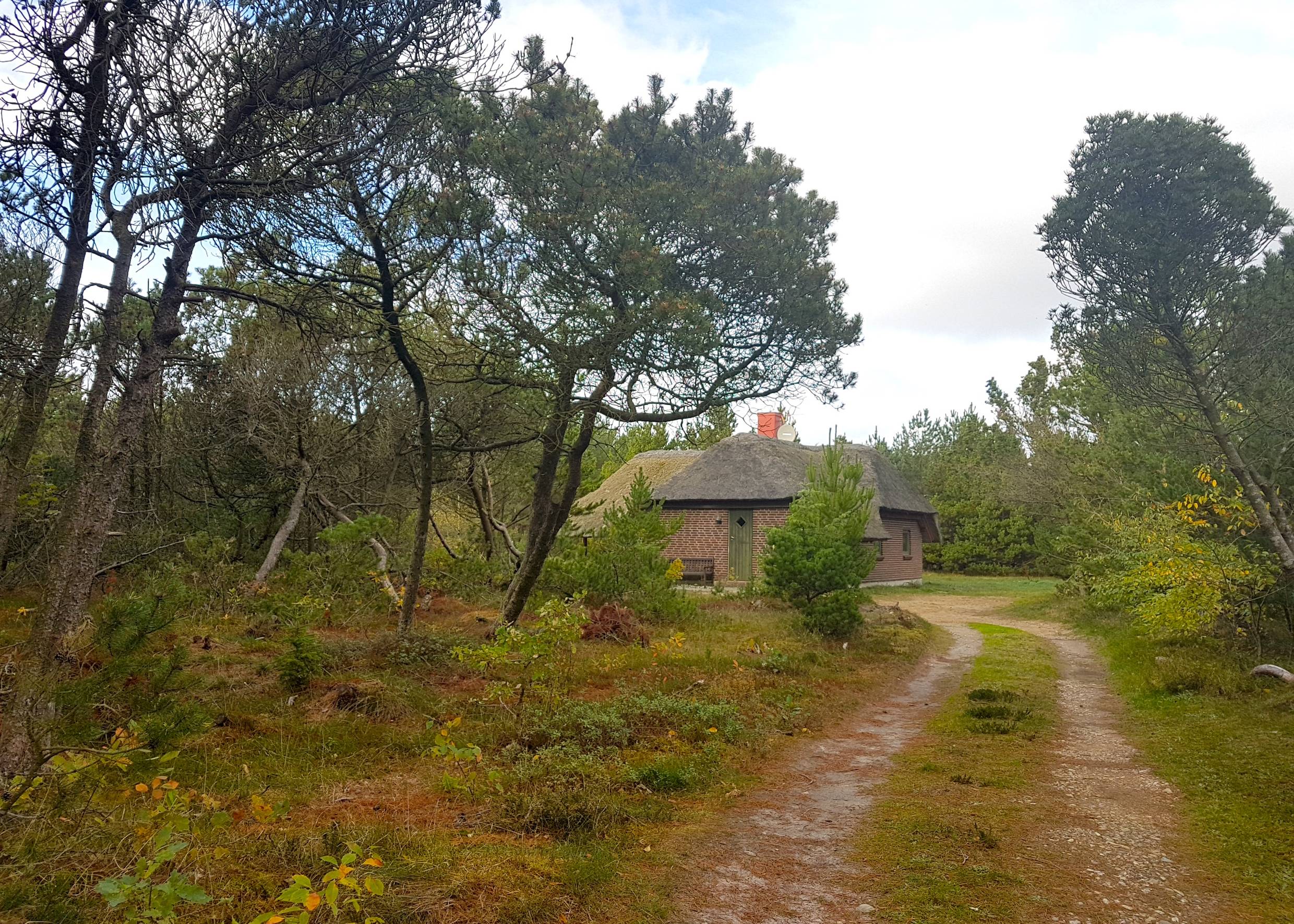 Ferienhaus in Houstrup mit Reetdach