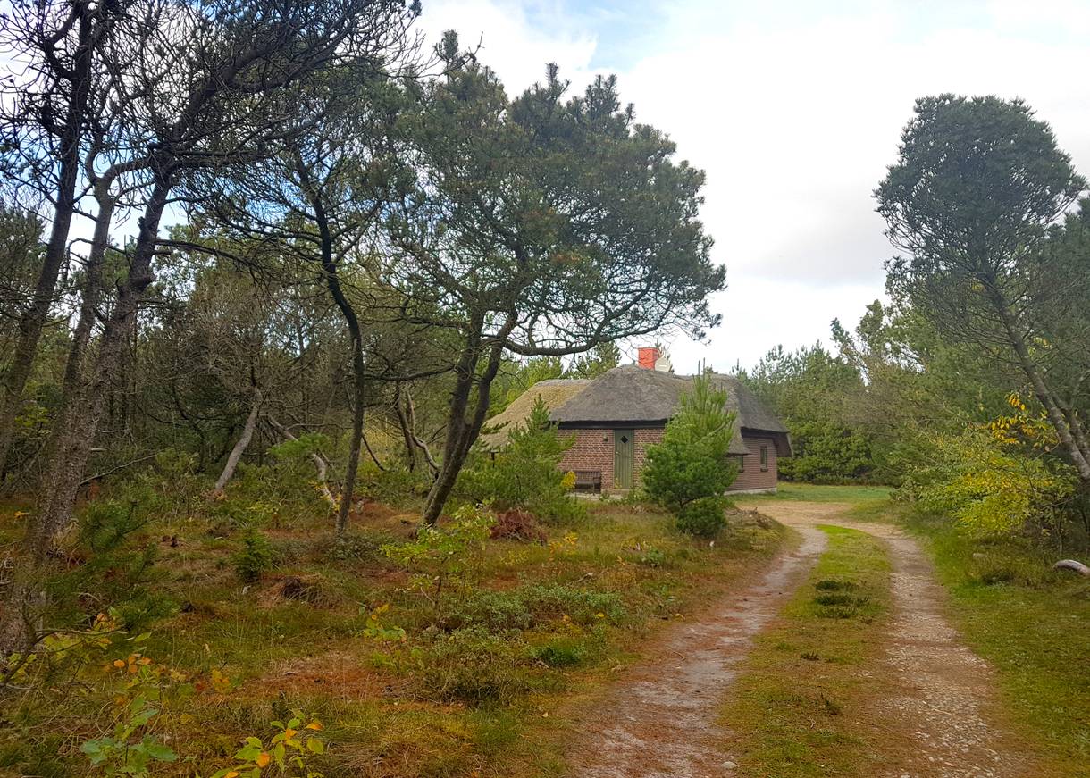 Ferienhaus in Houstrup mit Reetdach