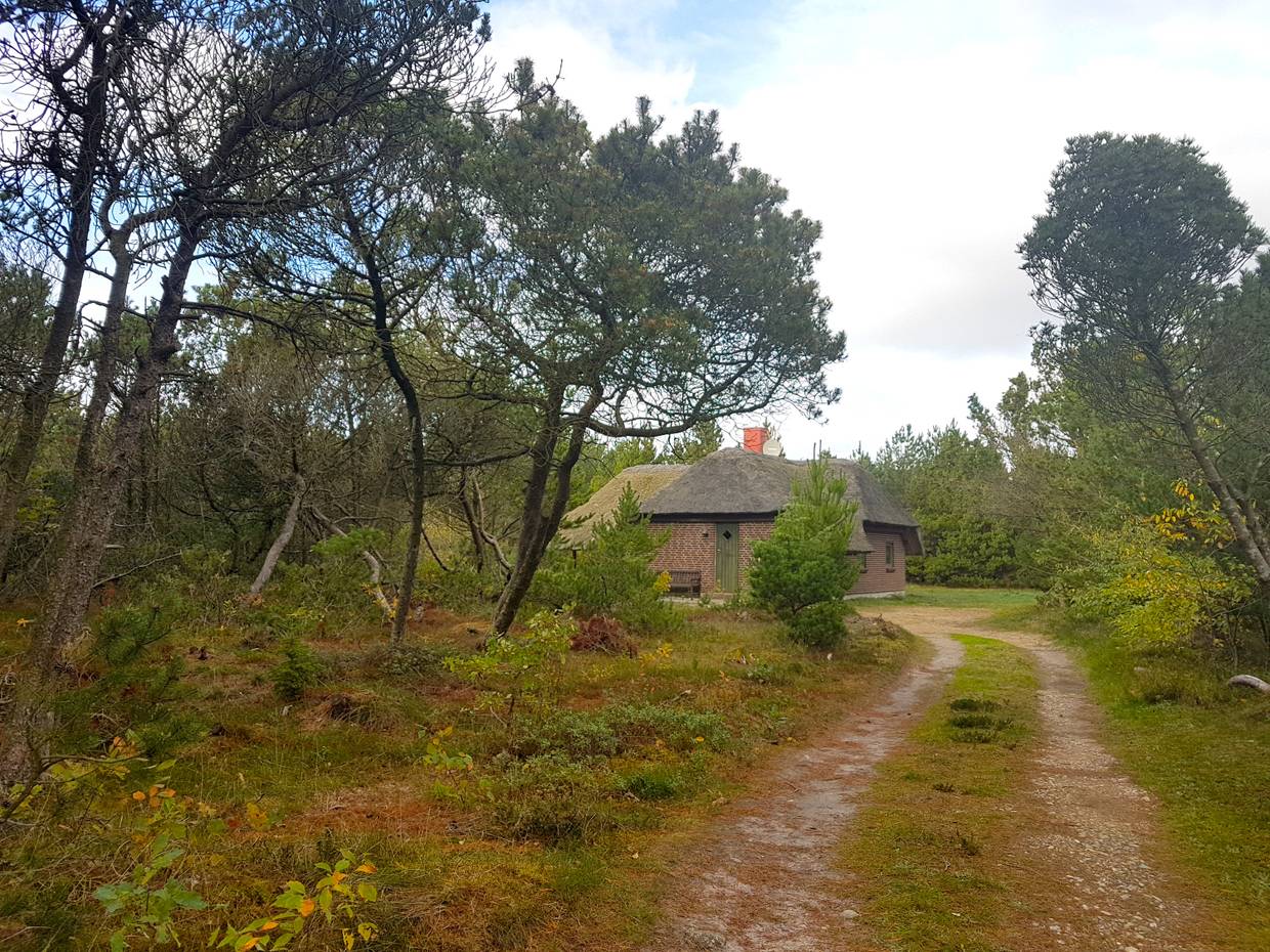 Ferienhaus in Houstrup mit Reetdach