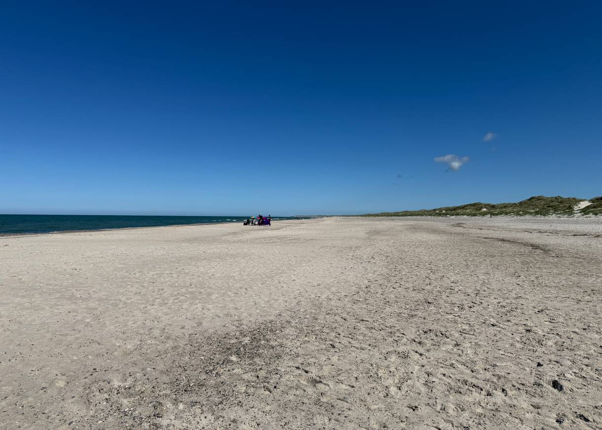 Blick auf einen Nordseestrand mit Sanddünen und Strandhafer