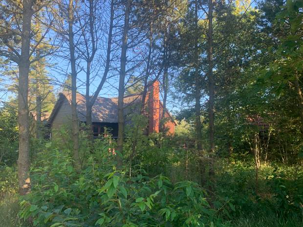 Reetgedecktes Holzhaus im Grünen