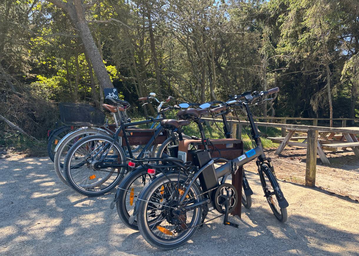 Park- und Ladeplatz für Fahrräder an einem Wald, dahinter eine Picknickbank