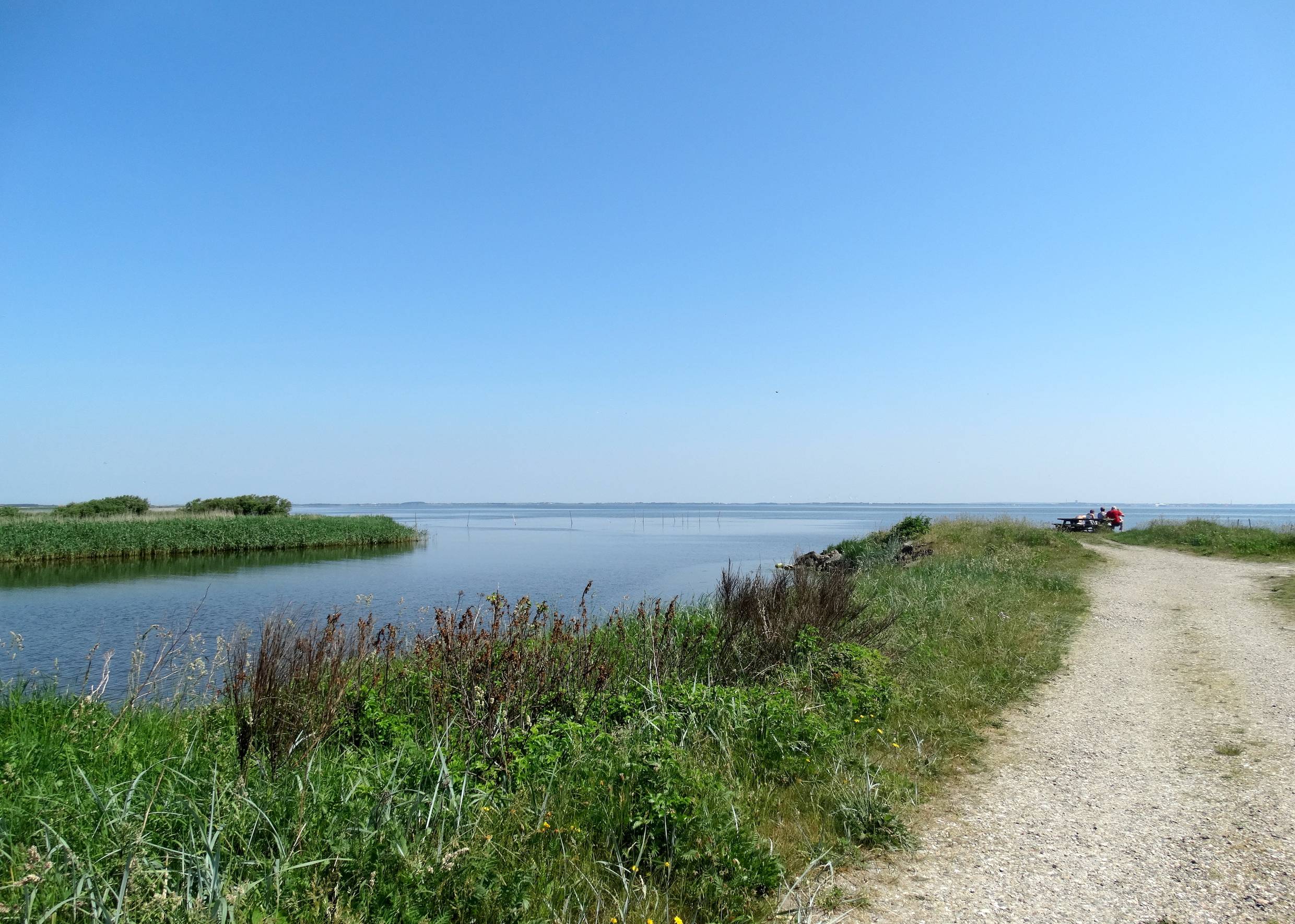 Feldweg am Wasser. im Hintergrund eine Picknickgruppe