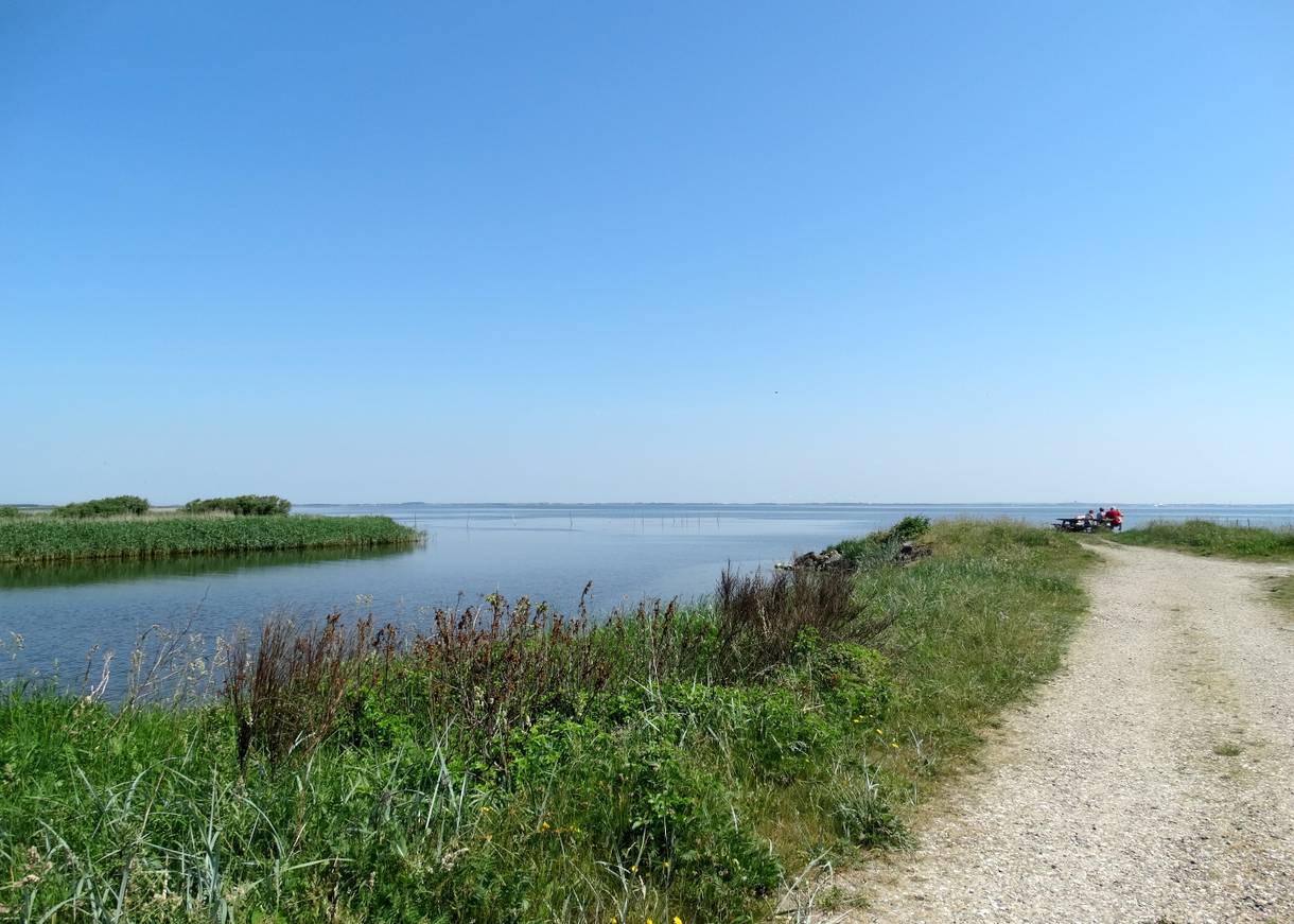 Feldweg am Wasser. im Hintergrund eine Picknickgruppe