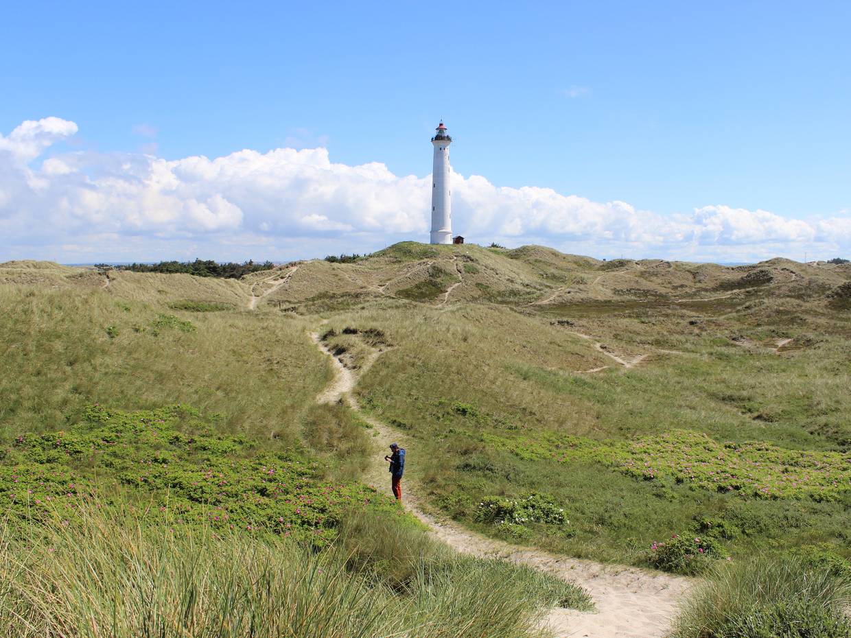 Pfad durch die Dünen zu einem Leuchtturm mit einem Spaziergänger 
