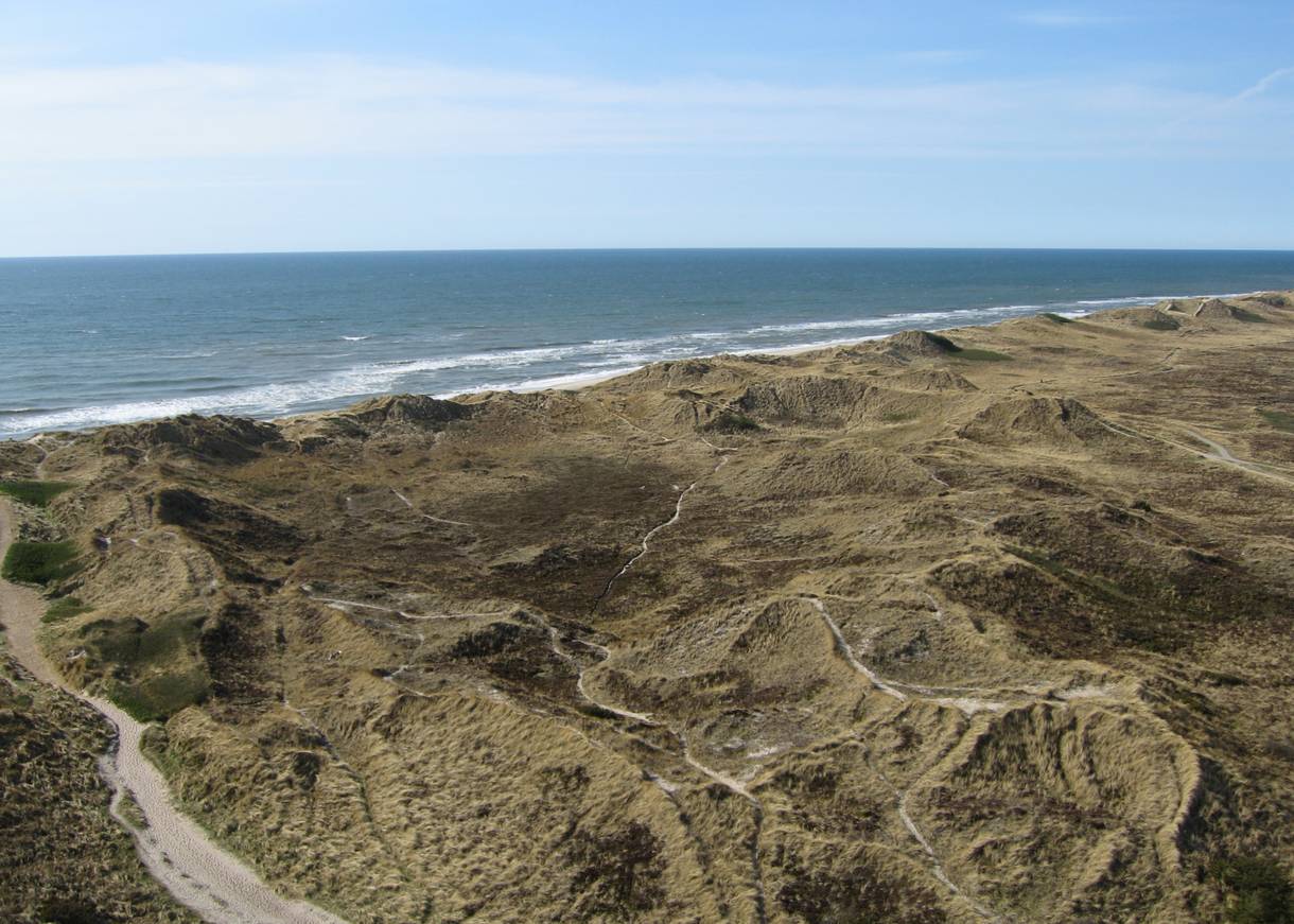 Blick über Meer und grüne Dünen vom Leuchtturm
